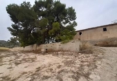 Chalet independiente con terreno en venta en la España, Monóvar, ref: TR146065 foto