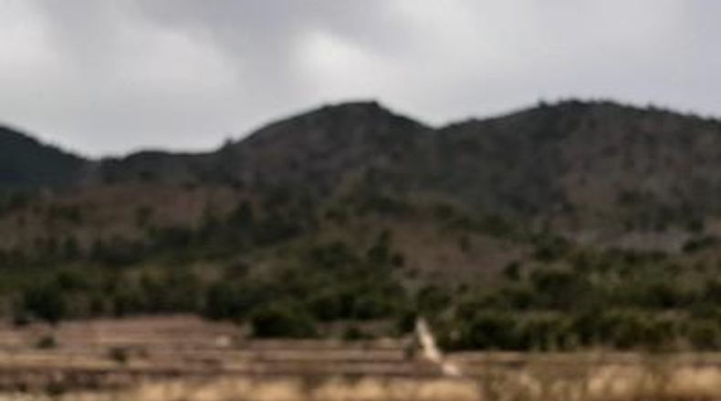 Alicante - Monóvar - 40000m2