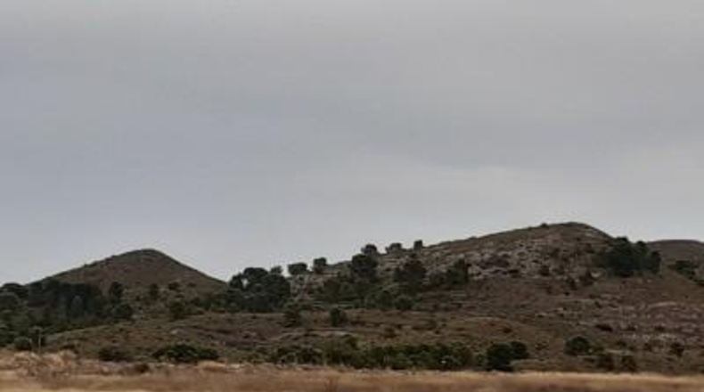 Alicante - Monóvar - 40000m2