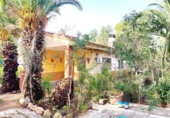 Detached villa with land for sale on España, Llíria, ref: TR179609 photo
