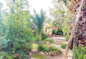 Detached villa with land for sale on España, Llíria, ref: TR179609 photo