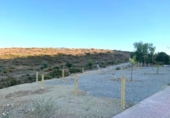 Sòl urbà en venda a la España, Alhaurín el Grande, ref.: TR377240 foto