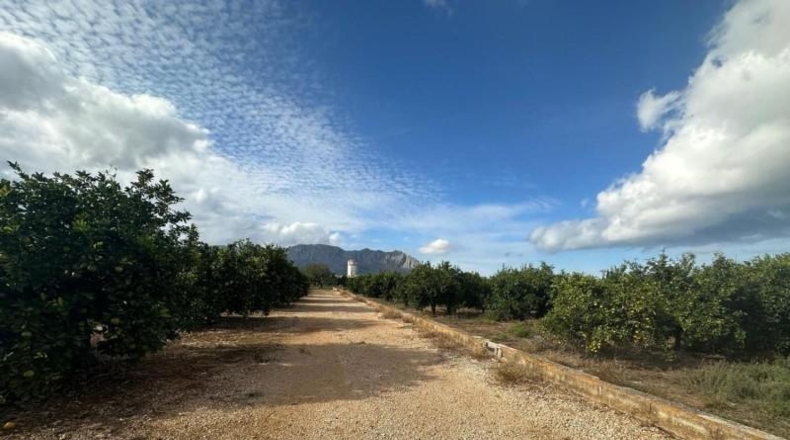 Alicante - Ondara - 22m2