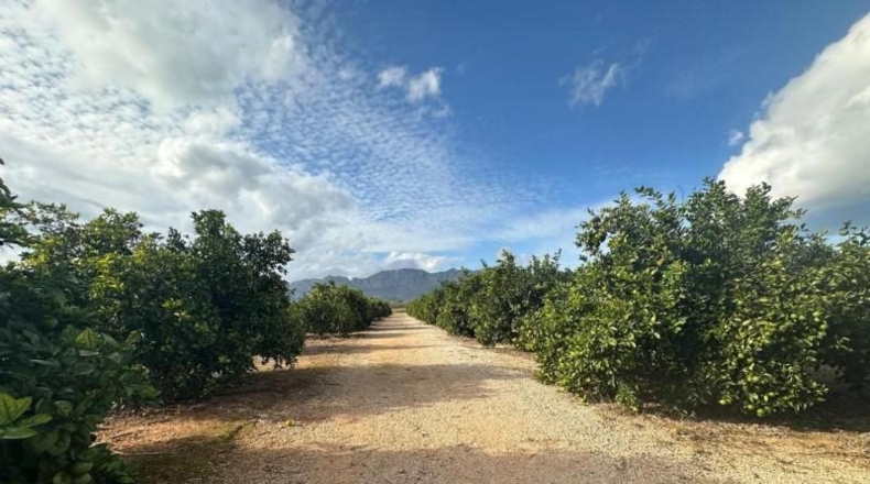 Alicante - Ondara - 22m2