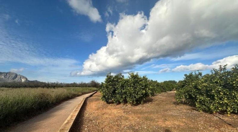 Alicante - Ondara - 22m2