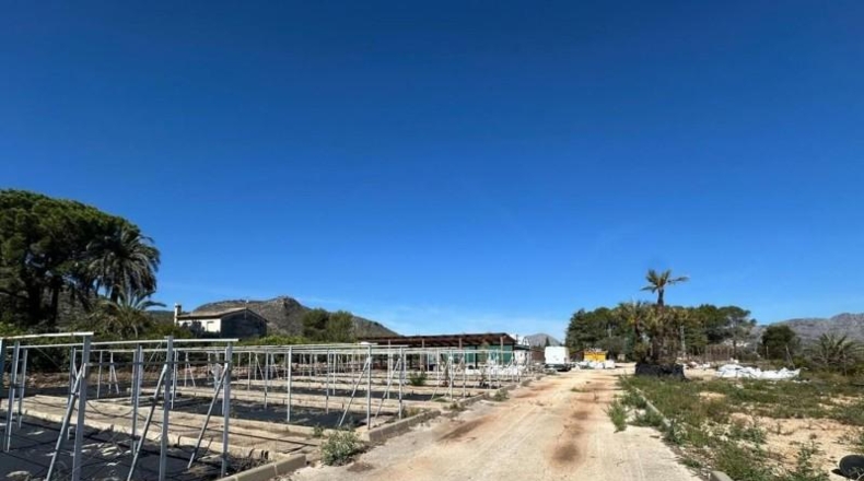 Alicante - Pedreguer - 6700m2