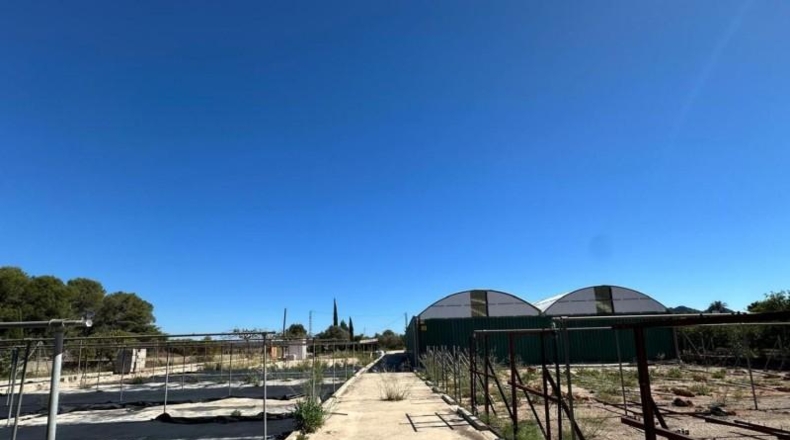 Alicante - Pedreguer - 6700m2