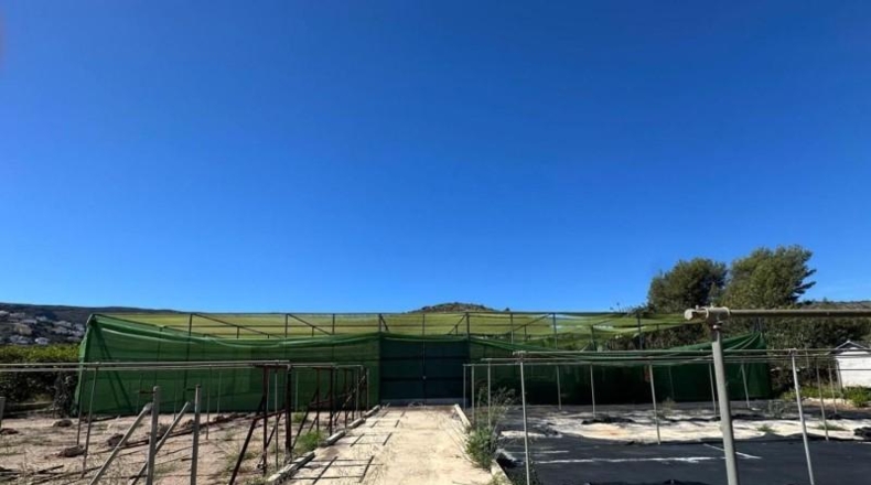 Alicante - Pedreguer - 6700m2