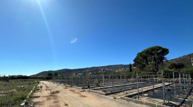 Alicante - Pedreguer - 6700m2