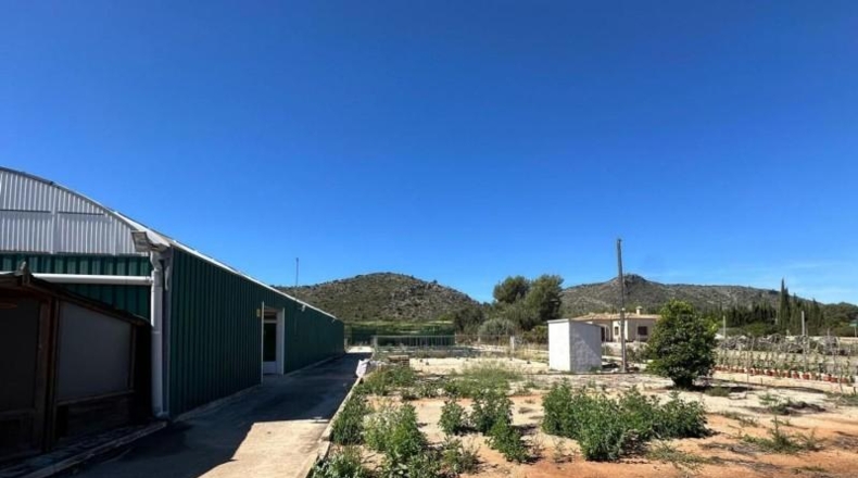 Alicante - Pedreguer - 6700m2