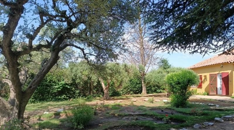 Zaragoza - Pedrola - 4740m2