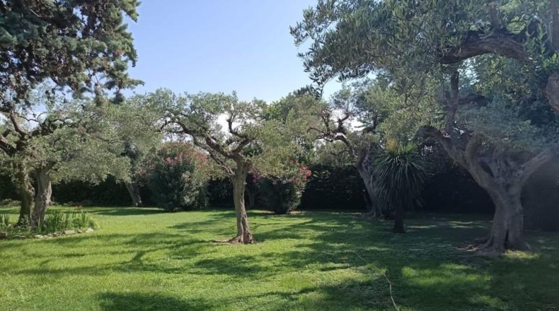 Zaragoza - Pedrola - 4740m2