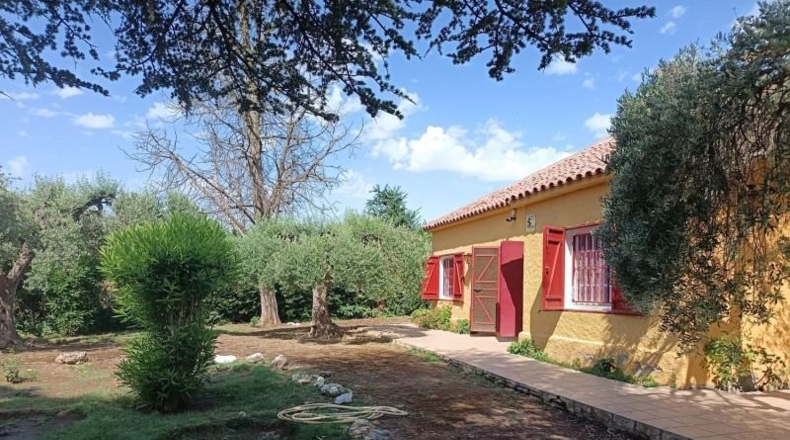 Zaragoza - Pedrola - 4740m2