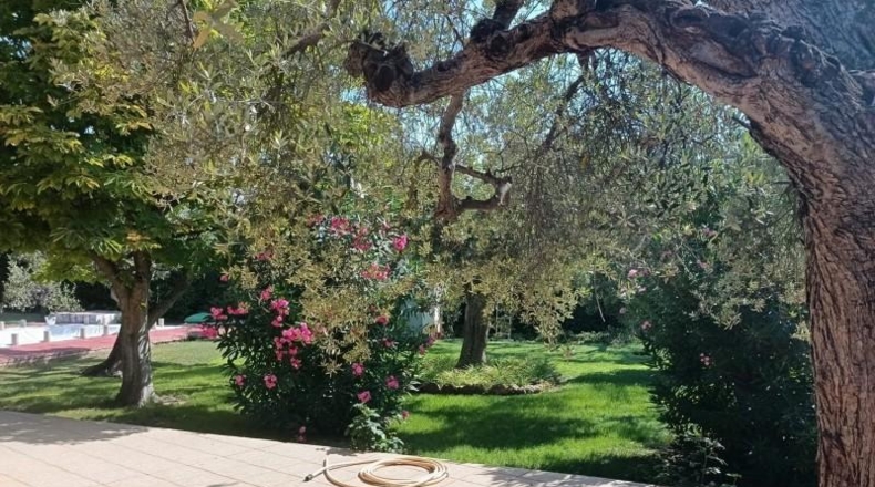 Zaragoza - Pedrola - 4740m2