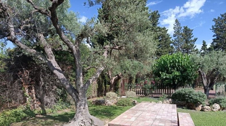 Zaragoza - Pedrola - 4740m2