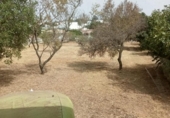 Отдельно стоящий дом с участком на продажу в городе Chiclana de la Frontera Фото