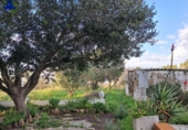 Отдельно стоящий дом с участком на продажу в городе Chiclana de la Frontera Фото