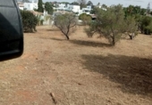 Отдельно стоящий дом с участком на продажу в городе Chiclana de la Frontera Фото
