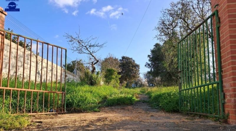 Cádiz - Чиклана-де-ла-Фронтера - 5120m2