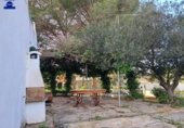 Отдельно стоящий дом с участком на продажу в городе Chiclana de la Frontera Фото