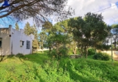Отдельно стоящий дом с участком на продажу в городе Chiclana de la Frontera Фото