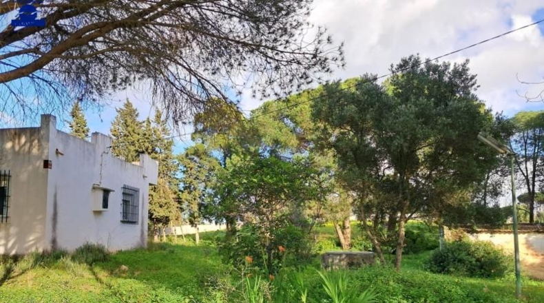 Cádiz - Чиклана-де-ла-Фронтера - 5120m2