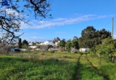 Отдельно стоящий дом с участком на продажу в городе Chiclana de la Frontera Фото