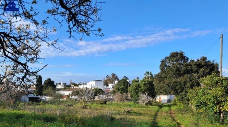 Cádiz - Чиклана-де-ла-Фронтера - 5120m2