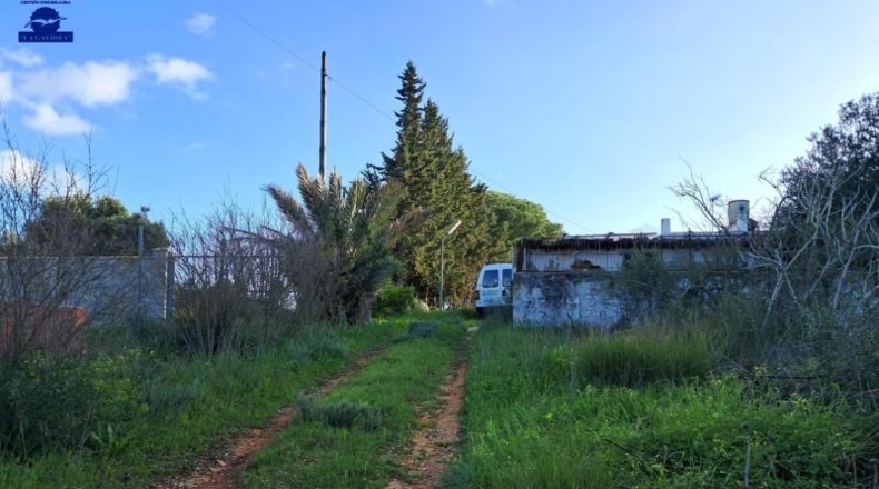 Cádiz - Чиклана-де-ла-Фронтера - 5120m2