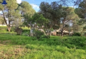 Отдельно стоящий дом с участком на продажу в городе Chiclana de la Frontera Фото