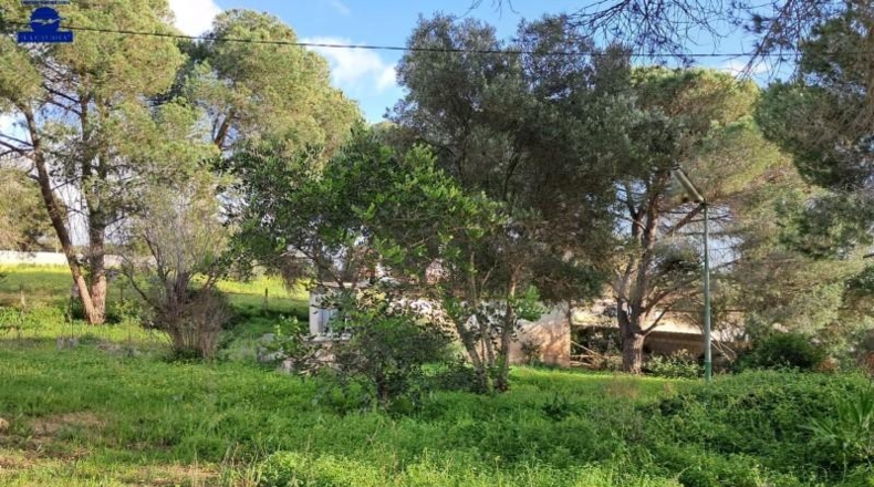 Cádiz - Чиклана-де-ла-Фронтера - 5120m2