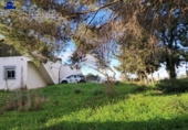 Отдельно стоящий дом с участком на продажу в городе Chiclana de la Frontera Фото