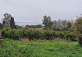 Terreny no urbanitzable en venda a la España, San Roque, ref.: TR335742 foto
