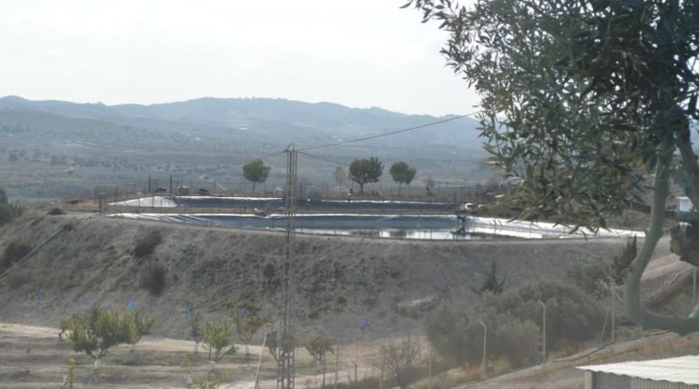 Murcia - Las Torres de Cotillas - 40000m2