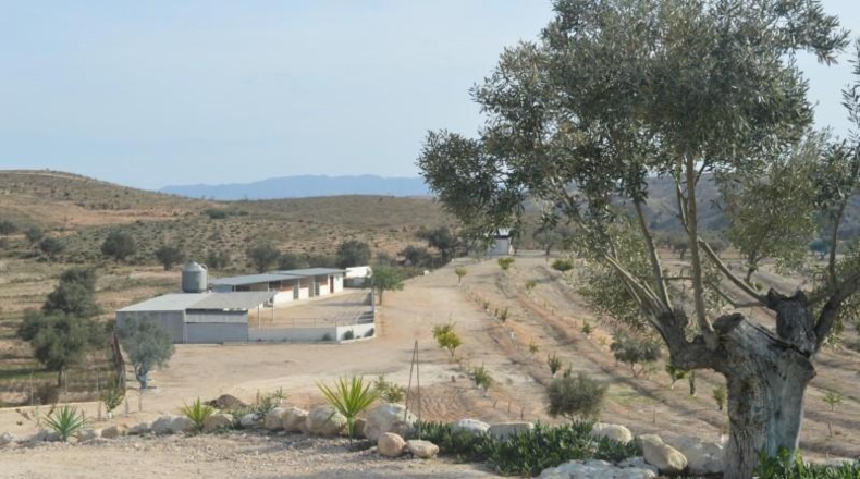 Murcia - Las Torres de Cotillas - 40000m2