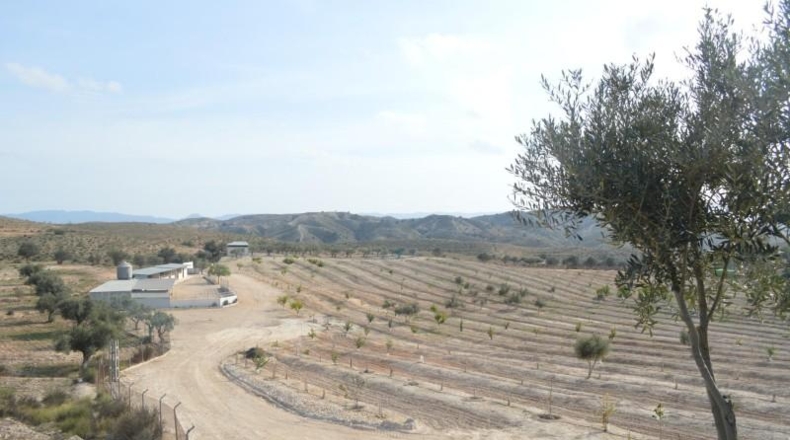 Murcia - Las Torres de Cotillas - 40000m2