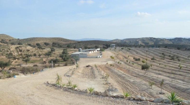 Murcia - Las Torres de Cotillas - 40000m2