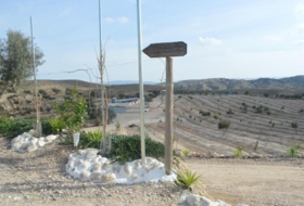 Foto 11