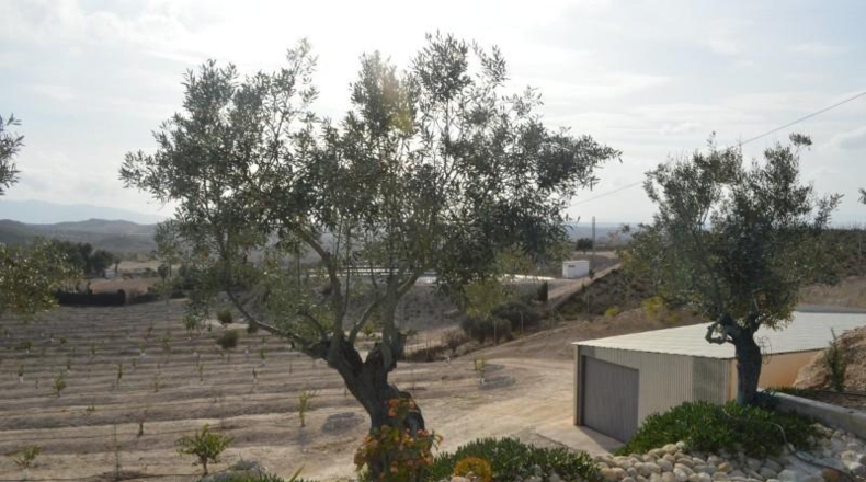 Murcia - Las Torres de Cotillas - 40000m2