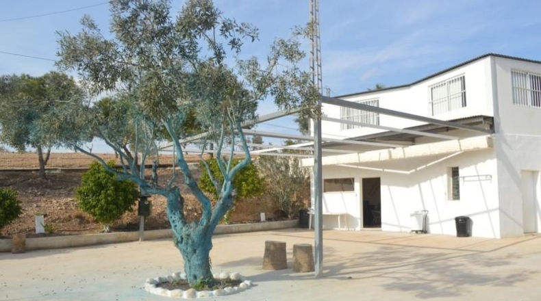 Murcia - Las Torres de Cotillas - 40000m2