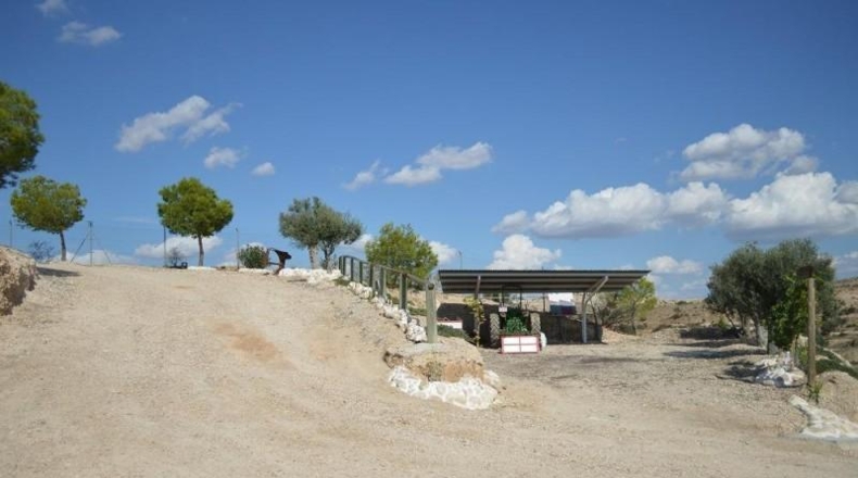 Murcia - Las Torres de Cotillas - 40000m2