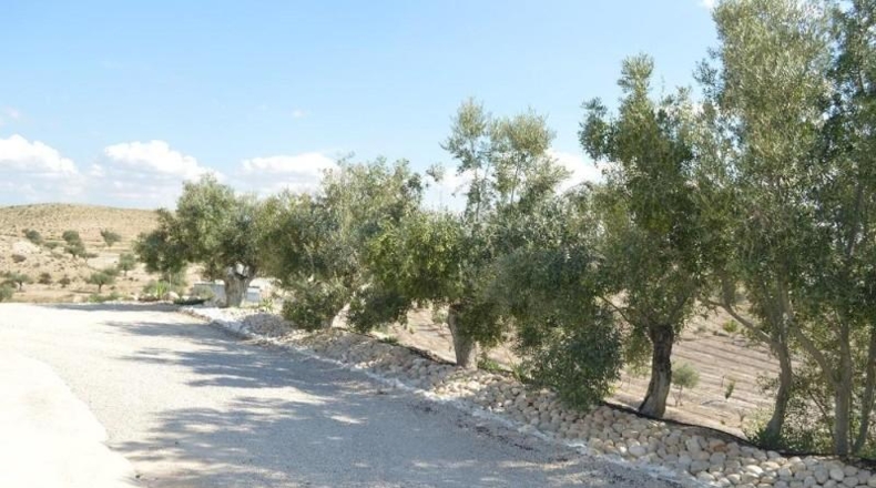 Murcia - Las Torres de Cotillas - 40000m2