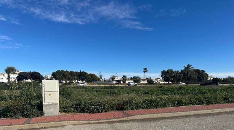 Alicante - Torrevieja - 800m2