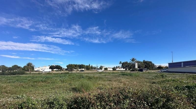 Alicante - Torrevieja - 800m2