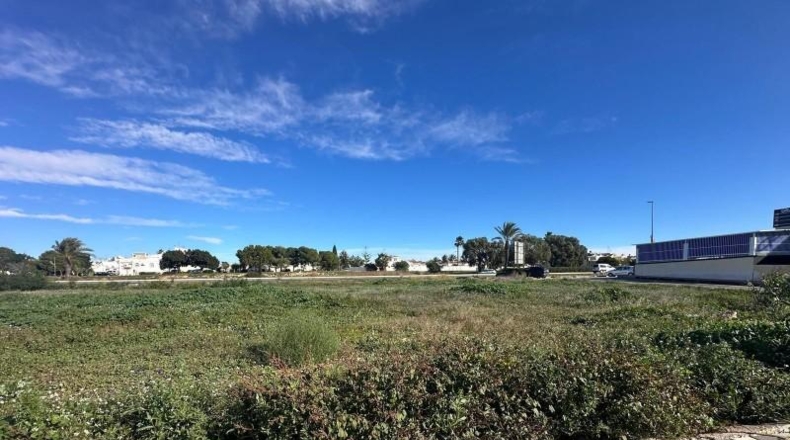 Alicante - Torrevieja - 800m2