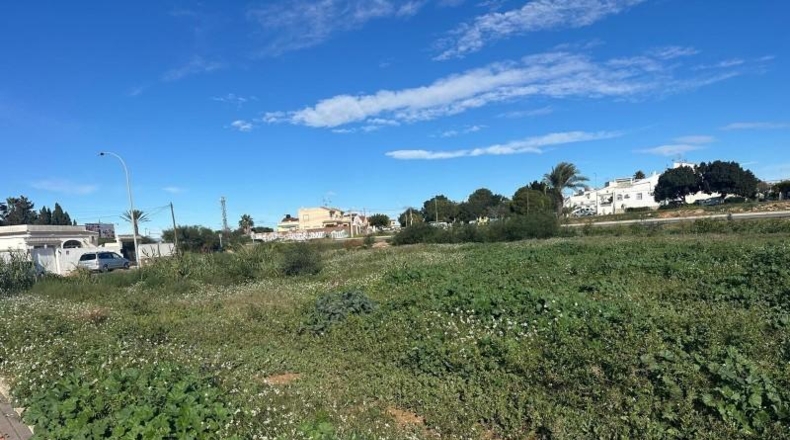Alicante - Torrevieja - 800m2