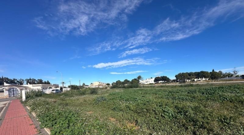 Alicante - Torrevieja - 800m2