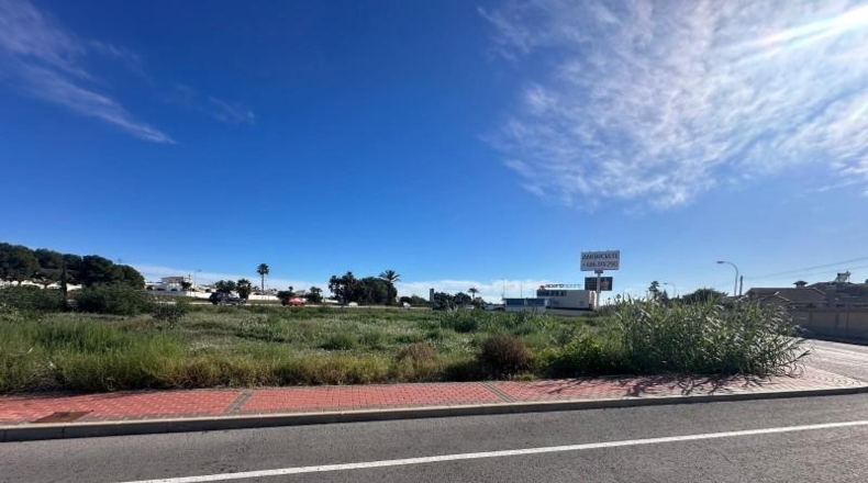 Alicante - Torrevieja - 800m2