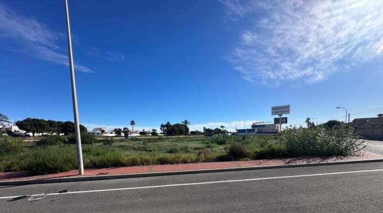 Alicante - Torrevieja - 800m2