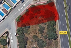 Торревьеха 800&nbsp;м²